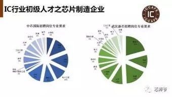 挖人 风潮再起 我国半导体行业人才供需状况解读